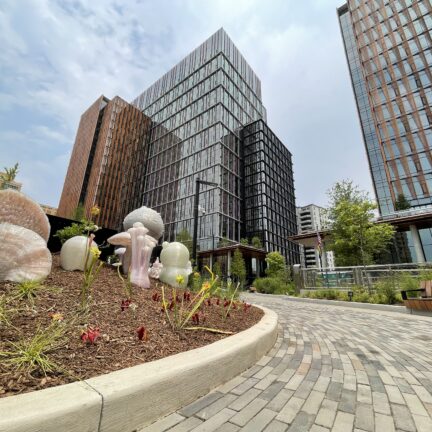 Amazon HQ2 Building and Driveway