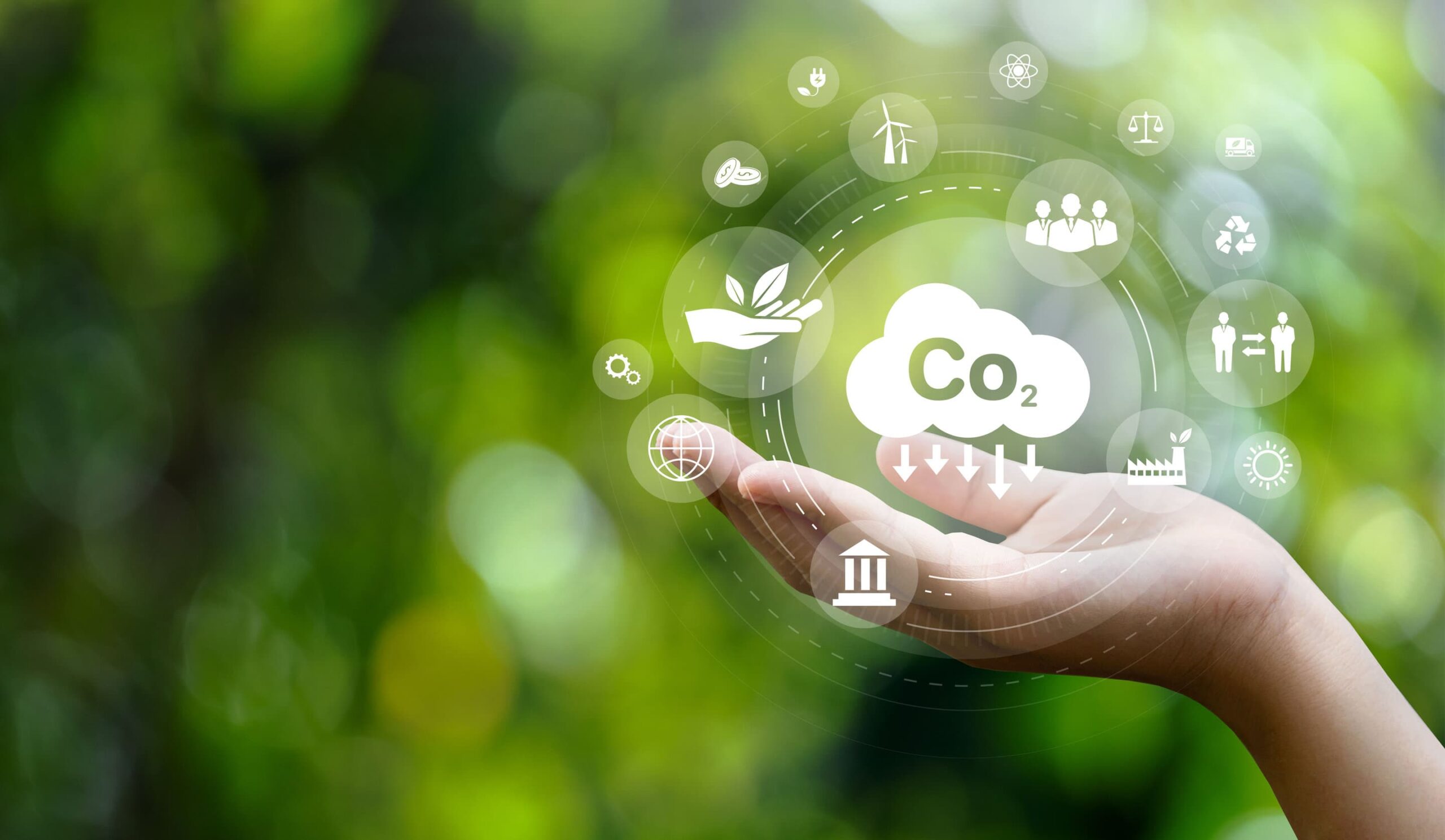 Secure Solutions: The Importance of Quality in Carbon Markets Thumbnail