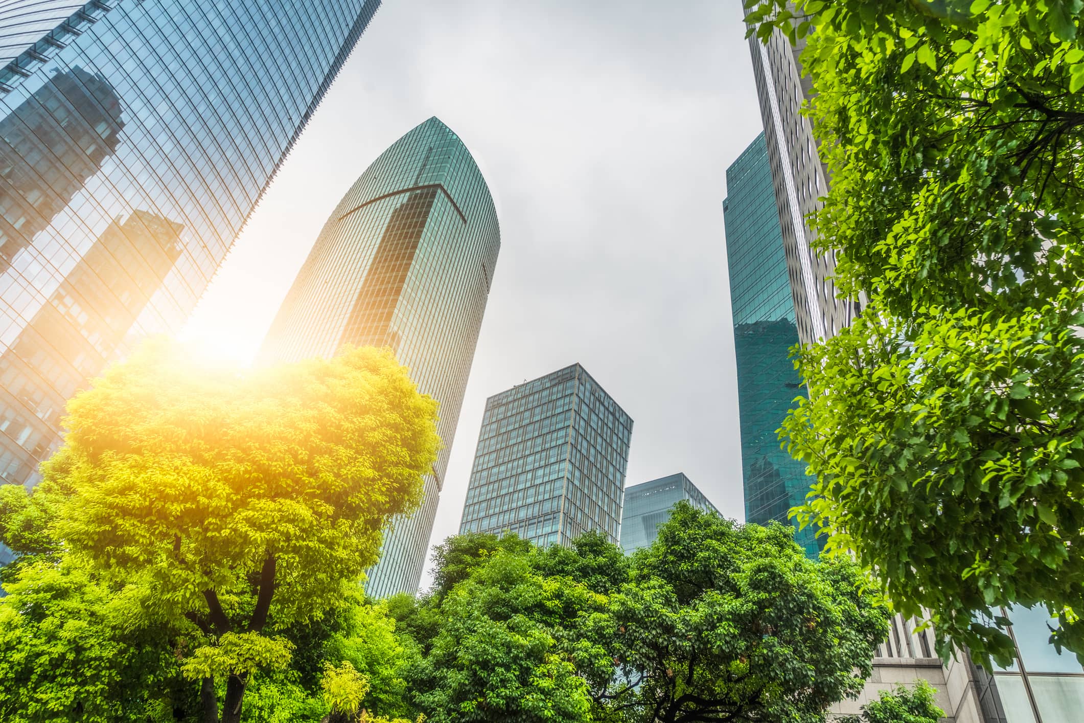Robust Measurability and Transparent Reporting: How CarbonCure Ensures the Integrity of Our Carbon Savings Thumbnail