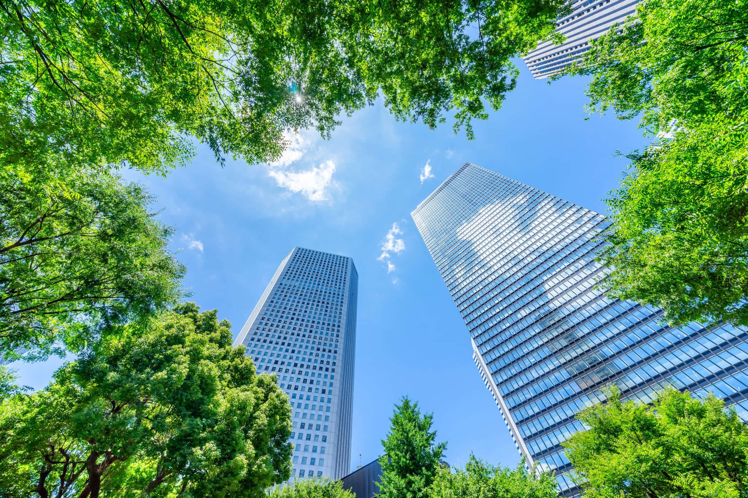 Charting a Green Future: Policy Change and a Path to Carbon Neutral Concrete in Asia Thumbnail