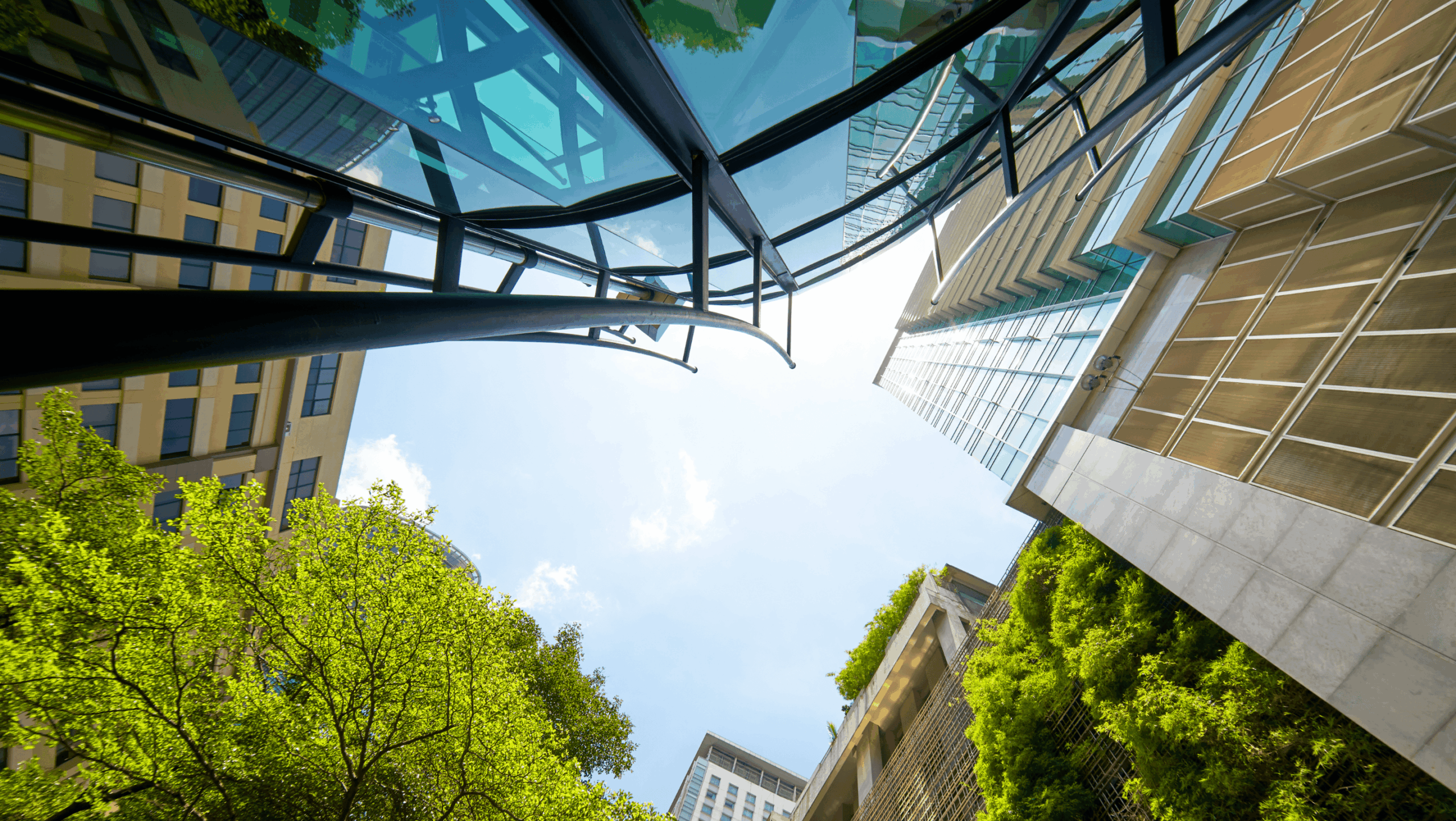 How SBTi’s New Standards Could Unlock Corporate Climate Potential Thumbnail